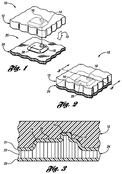 Drawing sheet 1 of US 8,795,807 B2