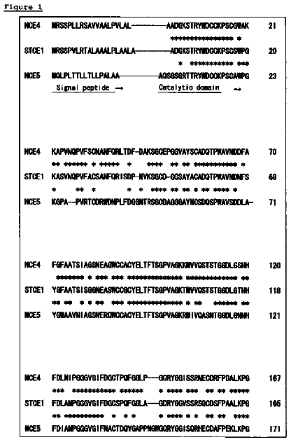 Drawing sheet 1 of US 8,796,005 B2