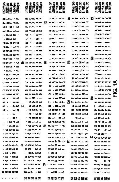 Drawing from US 9,725,523 B2