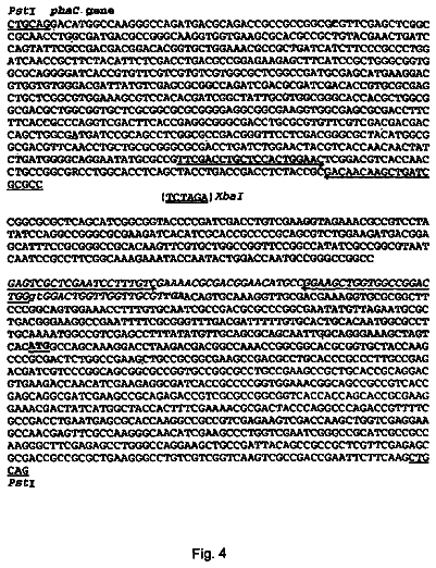Drawing sheet 7 of US 9,725,523 B2