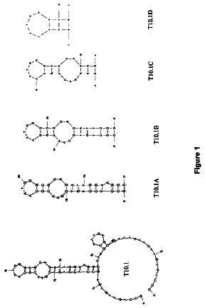 Drawing from US 9,732,348 B2