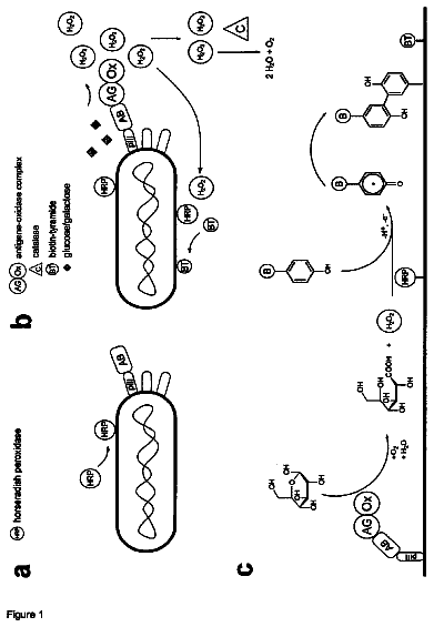 Drawing from US 9,733,240 B2