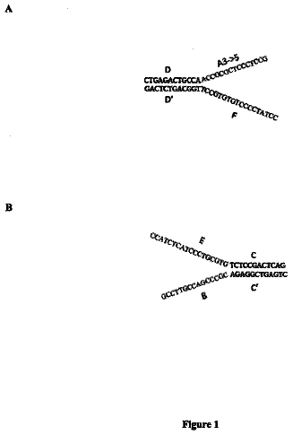 Drawing from US 9,738,930 B2