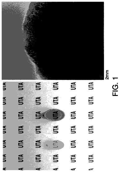 Drawing from US 9,739,897 B2