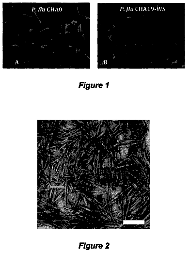 Drawing from US 9,744,270 B2