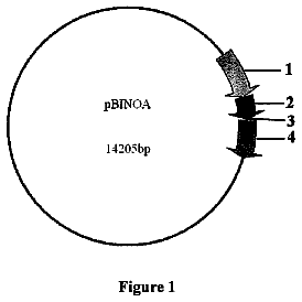Drawing sheet 1 of US 9,745,362 B2