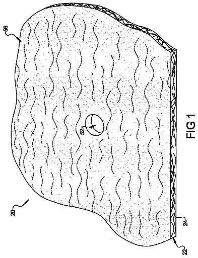 Drawing sheet 1 of US 9,747,883 B2