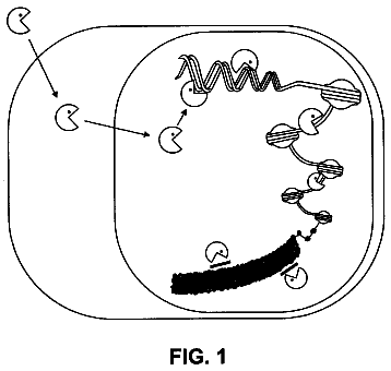 Drawing from US 9,752,177 B2