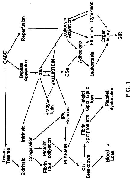 Drawing from US 9,757,437 B2