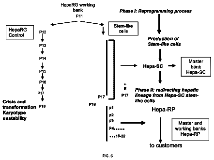Drawing sheet 4 of US 9,765,300 B2