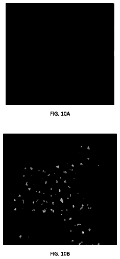 Drawing sheet 8 of US 9,765,300 B2