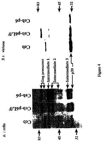 Drawing sheet 4 of US 9,765,304 B2