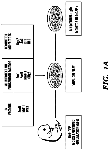 Drawing sheet 1 of US 9,770,471 B2
