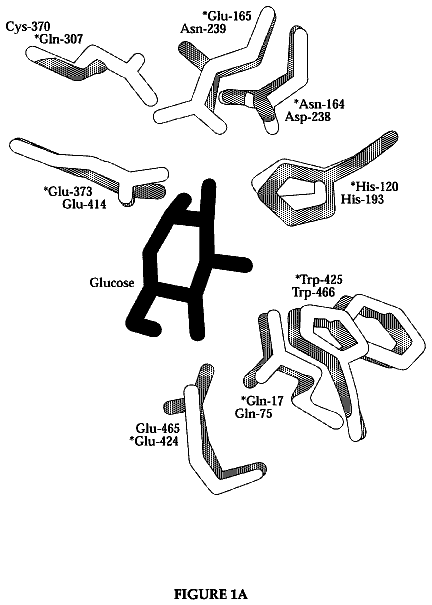 Drawing from US 9,771,567 B2