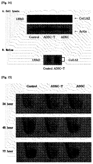 Drawing sheet 8 of US 9,782,469 B2