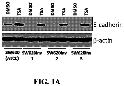 Drawing from US 9,783,510 B2