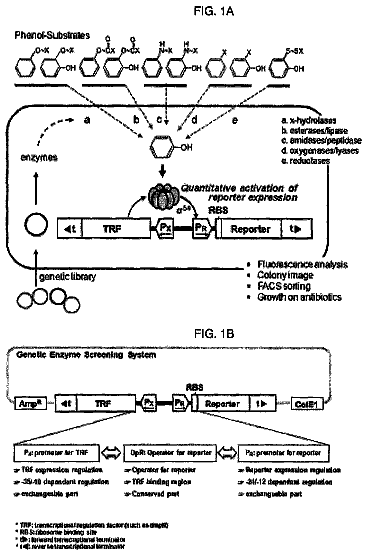 Drawing from US 9,783,859 B2