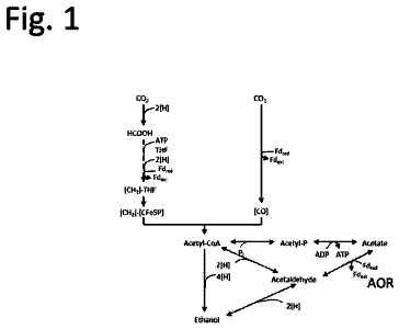 Drawing sheet 1 of US 9,790,522 B2