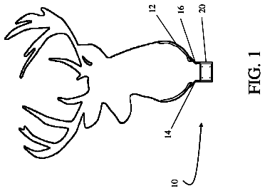 Drawing from US 9,795,114 B2