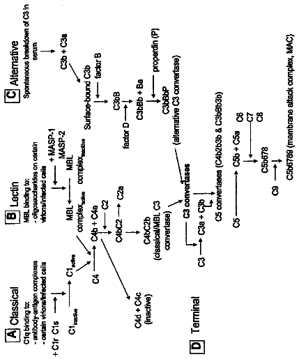Drawing from US 9,795,655 B2
