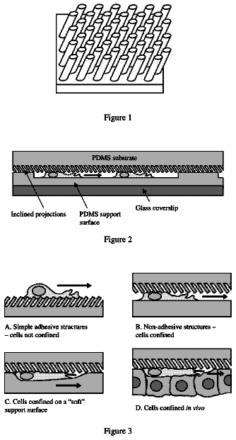 Drawing from US 9,803,173 B2