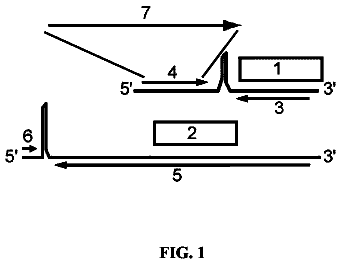 Drawing from US 9,809,801 B2