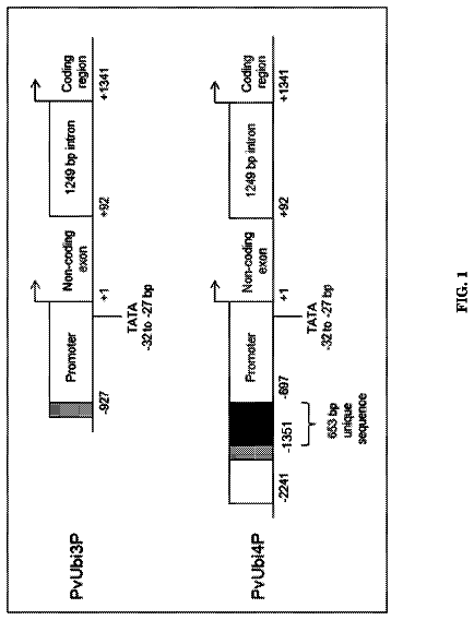 Drawing sheet 1 of US 9,816,097 B2