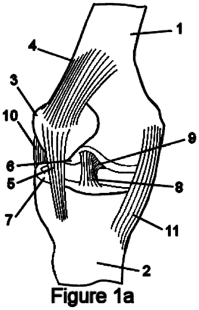 Drawing sheet 1 of US 9,820,786 B2