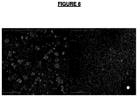Drawing sheet 6 of US 9,823,245 B2