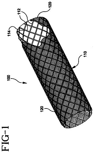 Drawing from US 9,833,343 B2