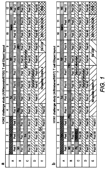 Drawing from US 9,833,506 B2