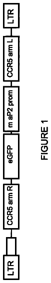 Drawing from US 9,834,787 B2