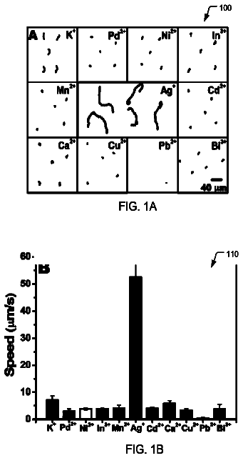 Drawing from US 9,868,991 B2