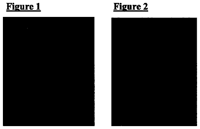 Drawing from US 9,877,939 B2
