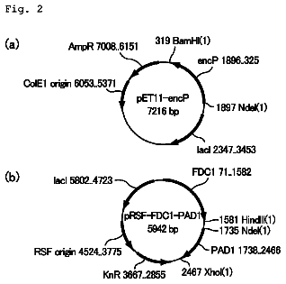 Drawing sheet 2 of US 9,879,109 B2