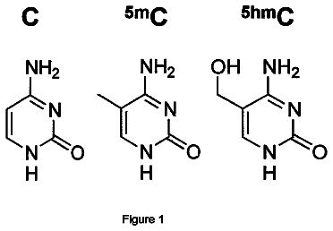 Drawing sheet 1 of US 9,879,315 B2
