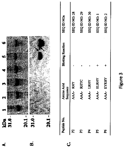 Drawing sheet 3 of US 9,884,894 B2