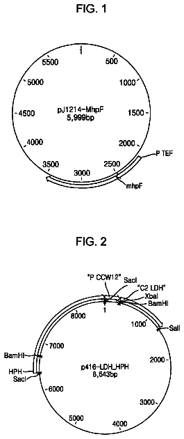 Drawing from US 9,885,067 B2