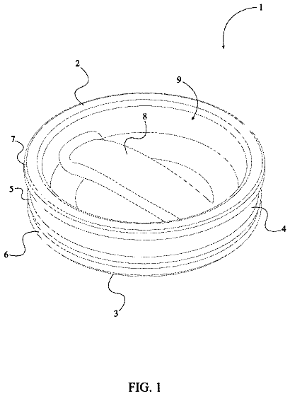 Drawing from US 9,889,965 B2