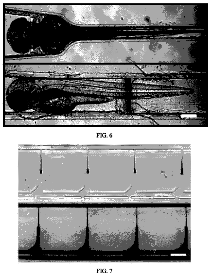 Drawing sheet 6 of US 9,897,593 B2