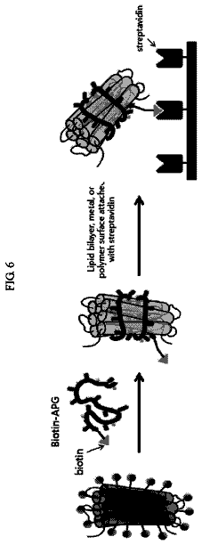 Drawing sheet 5 of US 9,902,784 B2