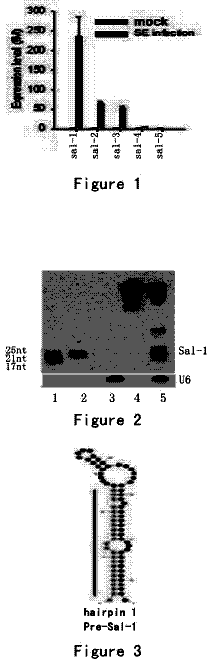 Drawing sheet 1 of US 9,903,002 B2