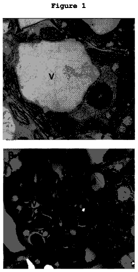 Drawing sheet 1 of US 9,909,134 B2