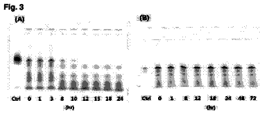 Drawing sheet 3 of US 9,919,001 B2