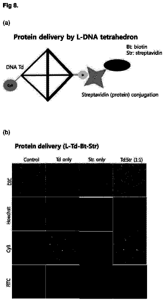 Drawing sheet 8 of US 9,919,001 B2