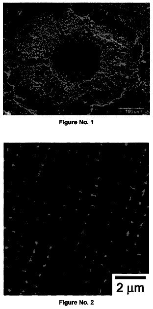 Drawing sheet 1 of US 9,920,435 B2
