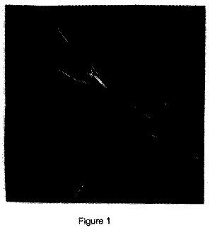 Drawing from US 9,933,407 B2