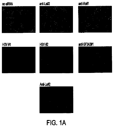 Drawing sheet 1 of US 9,938,529 B2