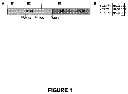 Drawing sheet 1 of US 9,944,677 B2
