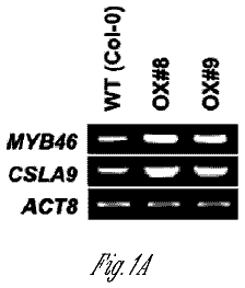 Drawing from US 9,944,939 B2